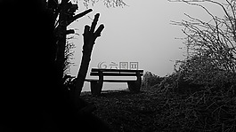銀行,霧,性質(zhì)