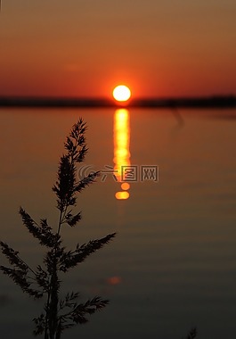 日落,夏天,天空