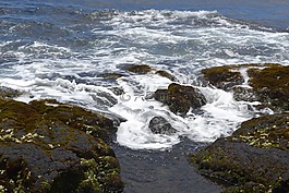 夏威夷海岸,波,巖