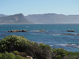 南非,海,海岸
