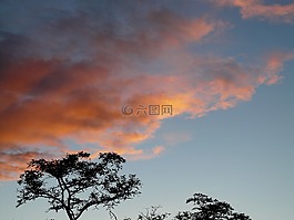 日落,天空,云