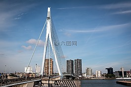 鹿特丹,桥,城市