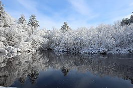 雪,冬天,水