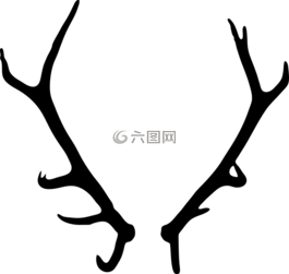 鹿茸,埃爾克,牛角