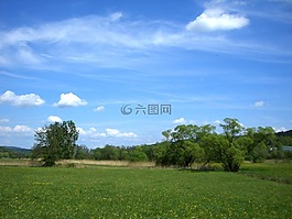 景觀,夏季,性質(zhì)
