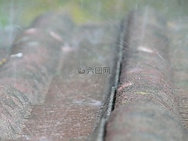 雨滴,注入,雨水濺