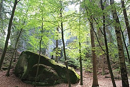 adrspach,岩城,teplicke skaly