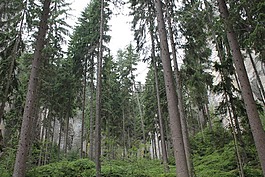 adrspach,岩城,teplicke skaly