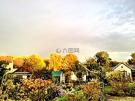 秋,花園,自然