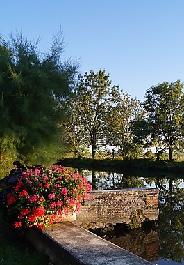 河,花卉裝飾,genlis
