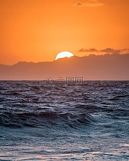 海,海洋,水