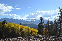 科羅拉多州,落基山,白楊
