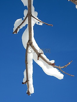 天空,雪,冬天