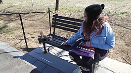 女孩,公園長椅,松鼠