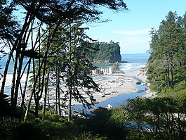 紅寶石,海灘,奧林匹克國家公園