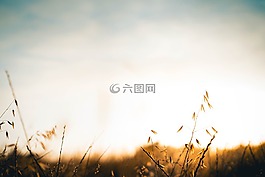 天空,查看,日出