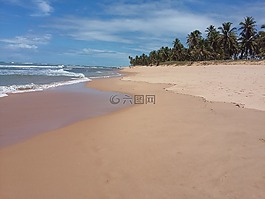 手掌,海,海灘