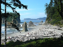 紅寶石,海灘,華盛頓