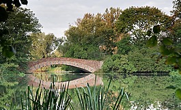橋,公園,湖