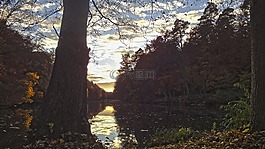日落,abendstimmung,黃昏