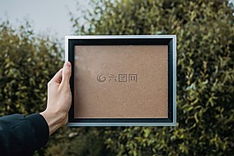 幀,手,綠色