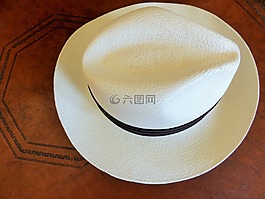 帽子,巴拿馬草帽,男子