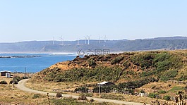 風,能源,森林