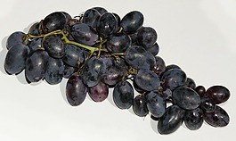 葡萄,漿果酒,穗