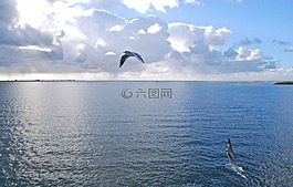 地中海,暑假,馬洛卡