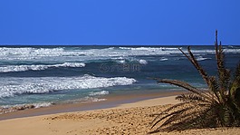 夏威夷,海灘,海洋