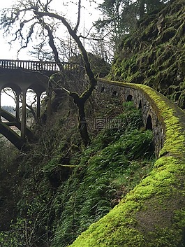苔,徑,橋