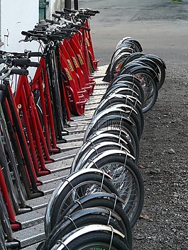 成熟,滾子,車輪