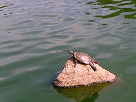 湖,性質(zhì),春天