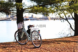 自行车,旅行,户外