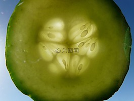 黃瓜,黃瓜切片,蔬菜