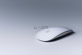 蘋果,電腦鼠標,小工具