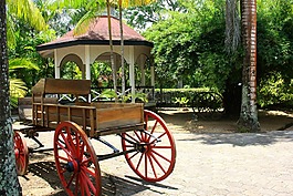 马推车,殖民地,plantantation