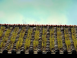 屋頂,瓦,房子