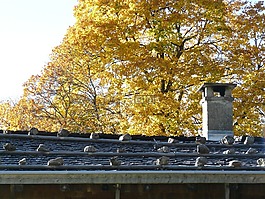 屋頂,木質(zhì)屋頂,木