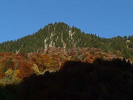 山,秋季,森林