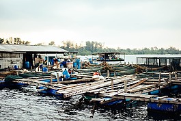 海,海洋,水