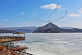 北漢江,冬季,候鳥