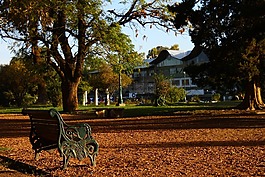 銀行,公園,花園長(zhǎng)凳