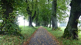 阿爾高,marktoberdorf,lindenallee