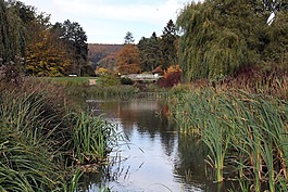 公园,kurpark,湖