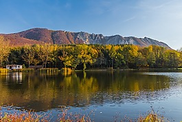 湖,水,海濱