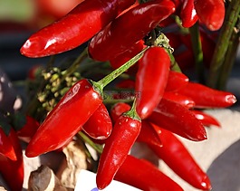 蔬菜,紅辣椒,食品