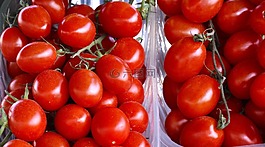 蔬菜,西紅柿,食品