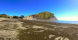 新西兰,海滩,海
