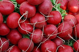 蔬菜,蘿卜,食品